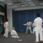 Karate Napoli Stage Higa Kyudokan 18